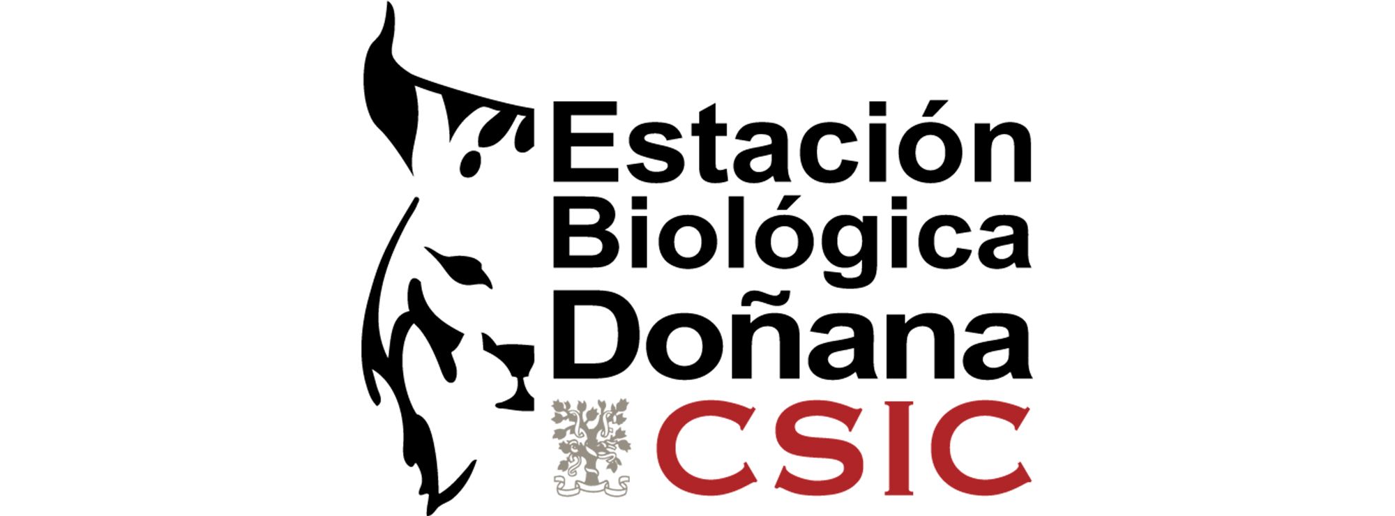 estación-doñana